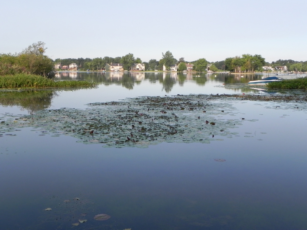 Commerce Lake Commerce Twp Michigan Oakland County